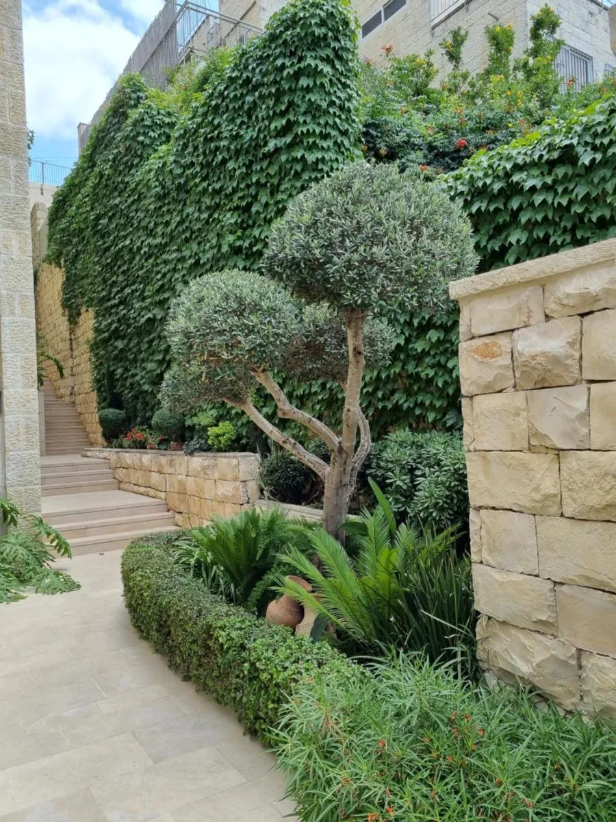 Image 2 of Cute Studio near Yad Vashem FREE street parking