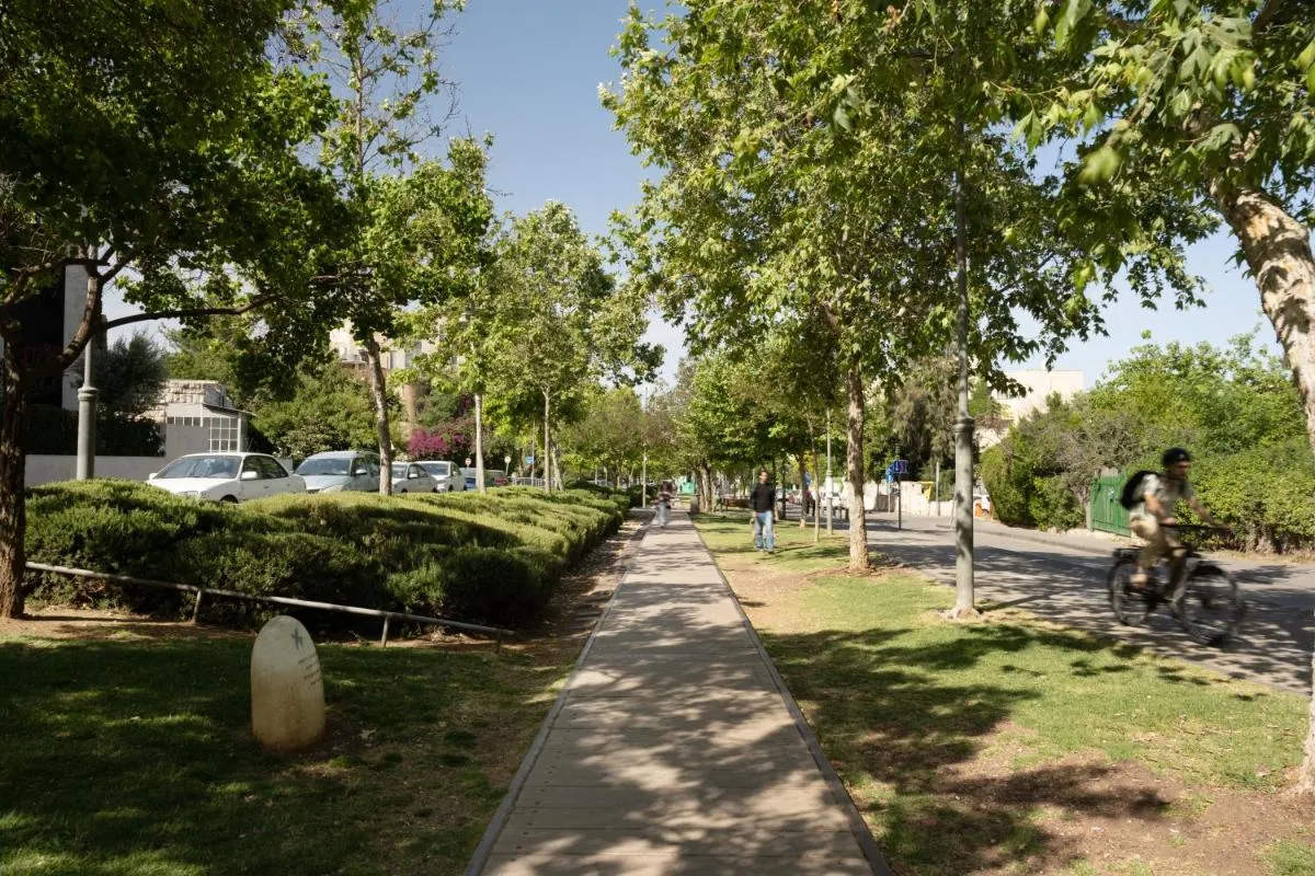 Image 4 of THE Y HOUSE