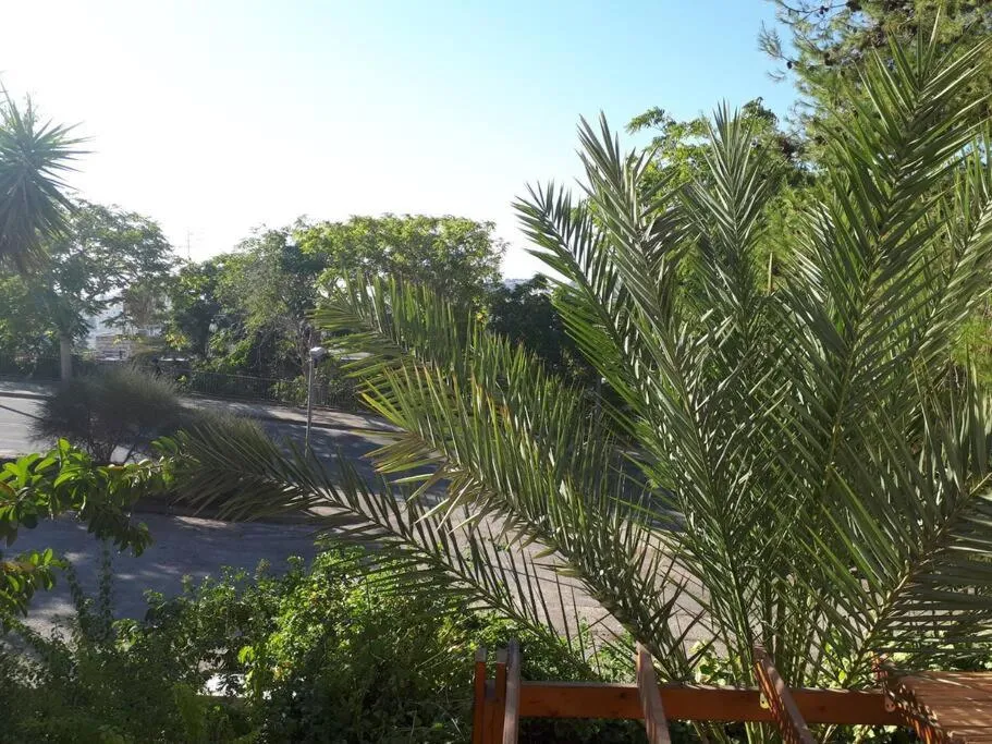 Image 5 of oded Inviting housing